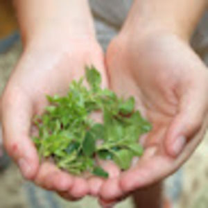 Meet your Posher, Cooking in bloom